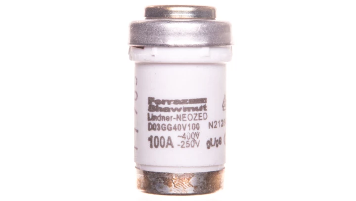 Wkładka bezpiecznikowa 100A D03 gG 400V D03/M30x2 LM30100