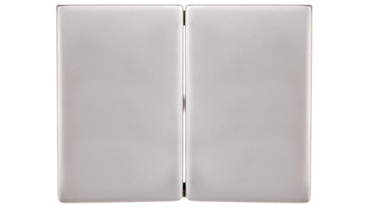 Berker/B.Kwadrat Klawisz podwójny łącznika stal szlachetna 14357004