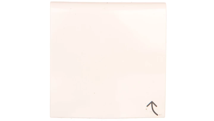 B.Kwadrat Płytka czołowa do gniazda z uziemieniem z pokrywą kremowy połysk 3965898992