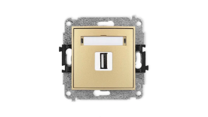 ICON Mechanizm gniazda pojedynczego USB A-A 2.0 złoty 29IGUSB-1