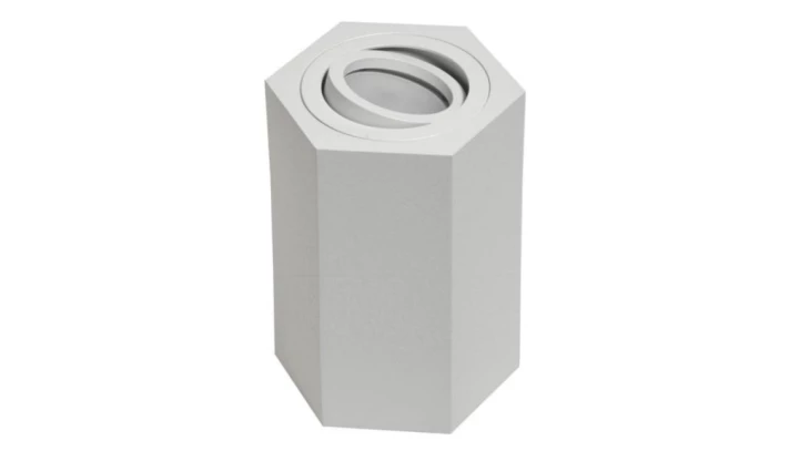 Oprawa sufitowa Areno White ruchoma aluminium 100x