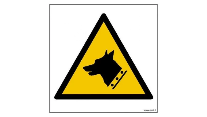 ZNAK - GD012 Ostrzeżenie przed napięciem elektrycznym 50 x 50 cm KS - Folia podłogowa foto.