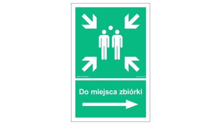 ZNAK - AC042 Do miejsca zbiórki w prawo 10 x 15 cm TS - Płyta TD foto.