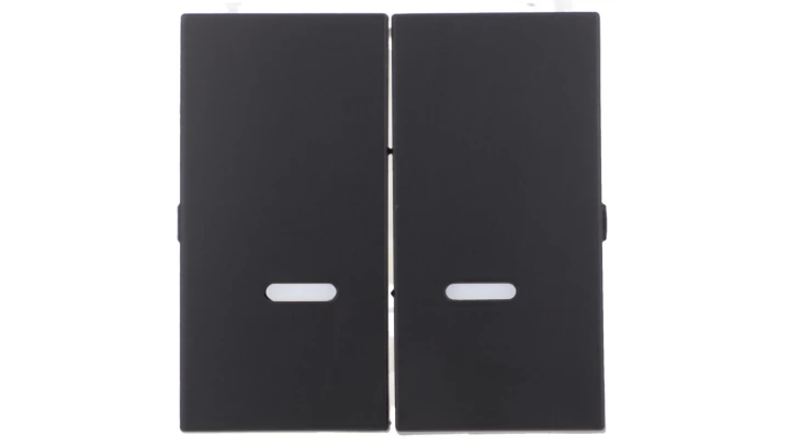 Simon 54 Klawisze z oczkiem do mechanizmów: SW6/2X