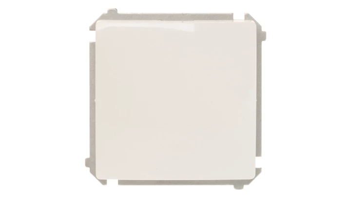 Simon Basic Łącznik jednobiegunowy, szybkozłącza, biały BMW1.01/11