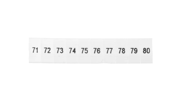 Oznacznik do złącz szynowych, opisówka ZB 5 numerowana od 71-80 kolor biały /10szt./
