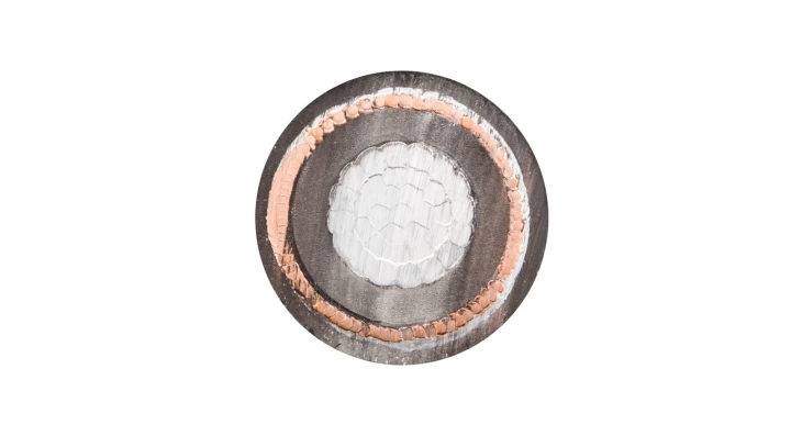 Kabel energetyczny XRUHAKXS 1x120/50 12/20kV /bębnowy/