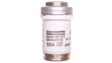 Wkładka bezpiecznikowa 100A D03 gG 400V D03/M30x2 LM30100