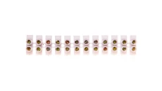 Listwa zaciskowa 12x2,5mm2 PS 2,5 19.2 /10szt./