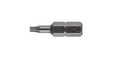 Bit profesjonalny FPB T10 PROFI BIT W 2 533078 /2szt./