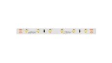 Taśma LED line 300 SMD3528 24V 6500K 4,8W 5 lat gwar. 241789/30m/