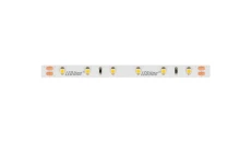 Taśma LED line 300 SMD3528 24V 6500K 4,8W 5 lat gwar. 240676/5m/