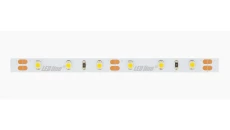 Taśma LED line 300 SMD3528 12V 6500K 4,8W 5 lat gwar. 249433/30m/