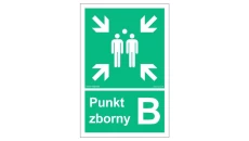 ZNAK - AC044 Punkt zborny B 10 x 15 cm TS - Płyta TD foto.
