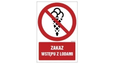 ZNAK - GC068 Zakaz wstępu z metalowymi implantami - opakowanie 10 sztuk 5 x 7,5 cm PN - Płyta 1mm