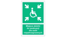 ZNAK - AF024 Miejsce zbiórki do ewakuacji dla niepełnosprawnych 25 x 37,5 cm TS - Płyta TD foto.