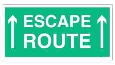 ZNAK - AC065 Escape route 40 x 20 cm TS - Płyta TD foto.