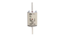 Wkładka topikowa szybka NH2/WT-2C gF 100A/500V 004139395