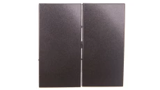 Simon 54 Klawisz podwójny łącznika schodowego do SW6/2M antracyt DKW6/2/48