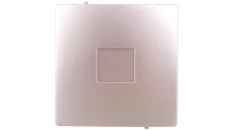 Simon Basic Zaślepka ramki srebrny mat BMP/43