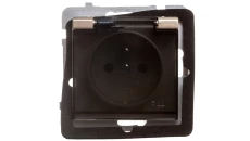 SONATA Gniazdo bryzgoszczelne z/u IP44 klapka przezroczysta szampański złoty GPH-1RZ/m/39/d